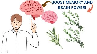 Rosemary Will Surprise you! Boost memory and Brain function