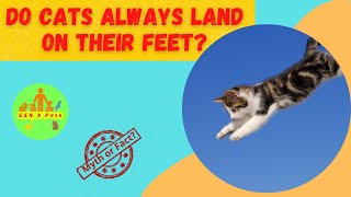 Do Cats always land on their feet? | Myth or Fact!