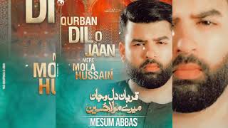 Qurban dil o jaan mere mola hussain mesum abbas noha 2023 | Muharram noha 2023