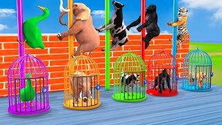 Cow Mammoth Elephant Tiger Gorilla Duck Guess The Right Key ESCAPE ROOM CHALLENGE Animals Cage Game