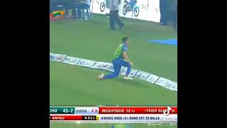 Jason Roy x brilliant catch