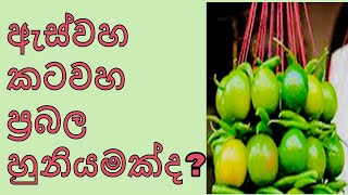 ඇස්වහ කටවහ හරියට දුරුකරගන්නේ මෙන්න මෙහෙමයි