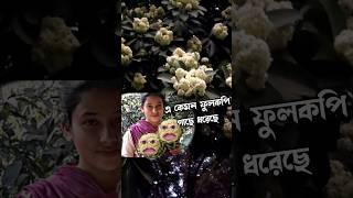 কারো জানা থাকলে কমেন্ট করুন - #shorts #funnyshorts #comedyshorts #potato #viralvideo #shortsvideo