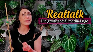 Warum meine Pflanzen sterben 😱 gelbe Blätter Ränder und Tote Zimmerpflanzen | realtalk