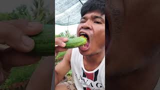 Green Vegetables, #shorts #viral #eatingasmr