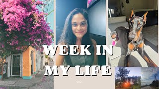 A Week in my life: From coffee, to scenic walks & work wins!