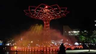 MILANO EXPO 2015 ALBERO DELLA VITA SPETTACOLO SERALE (TREE OF LIFE)