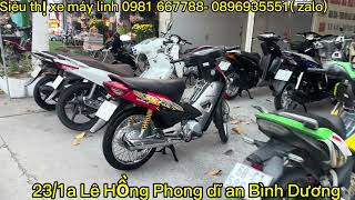 Báo giá xe ngày đầu xuân 14/2/2024.LUÂN TRẦN 0981 667788