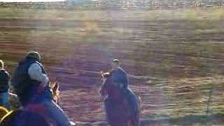 Riding Horses- north CRP field