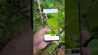 Samsung Galaxy S22 Ultra Camera Review 🔥💥 ,#shorts