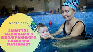 Заняття з малюками в школі раннього плавання WaterBaby