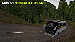 NEKAT LEWAT JALUR TENGAH HUTAN, Sepi Banget Jalur nya 😱 || MOD MAP BUSSID V3.7.1