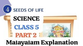 CLASS 5 //SCIENCE//CHAPTER 4 //SEEDS OF LIFE// EXPLAINED IN MALAYALAM