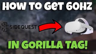 How To Play With 60 Hertz On Gorilla Tag (Side Quest)