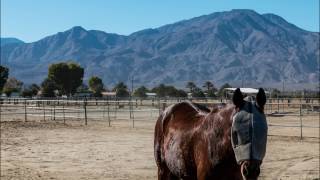 Rancho Polo Video