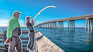 ROUGH Water Stripers After COLD FALL STORMS - Keeper Fluke on Swimbaits UNDER BRIDGE