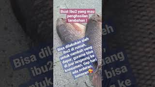 Pemasaran Gurame ke Konsumen Langsung #ikan #budidaya #gurame