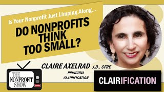 Do Nonprofits Think Too Small?