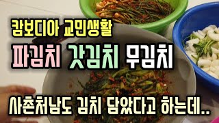 [캄보디아] 처남에게 김치 담는법 알려줘야겠습니다 | 중고 오토바이