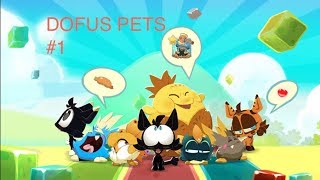 DOFUS PETS ! #1