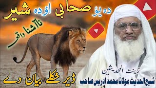 Molana Muhammad Sheikh Idrees Sahib New Pashto Bayan | یؤ صحابی اؤ دہ شیر واقعہ | Best Islamic Bayan