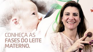 Fases do Leite Materno - Amor de Doula com Elisa Blanco