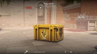 DAY 303 OPENING CS2 CASES UNTIL I GET GOLD!