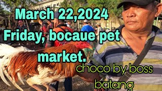 March 22,2024 Friday, bocaue pet market , choco by boss batang.