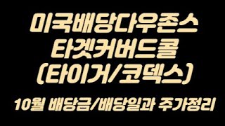 국내월배당ETF 코덱스/타이거 미국배당다우존스타겟커버드콜(2호) 10월 배당금/배당일과 주가정리