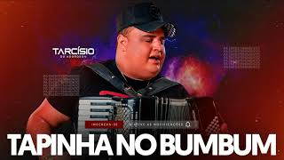 TAPINHA NO BUMBUM | TARCÍSIO DO ACORDEON