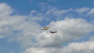 Yaks at Duxford