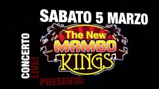 MAMBO KING   CONCERTO LIVE PLAYSON DE CUBA + INTERVISTA