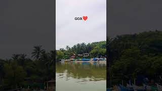 Goa trip | Dolphin view point #shortsvideo #trendingshorts #trending #viral #goa #goatrip