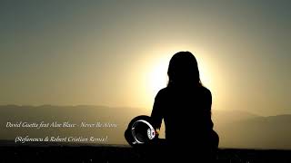 David Guetta feat Aloe Blacc - Never Be Alone (Stefanescu & Robert Cristian Remix)