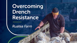 Ruatea Trust | Drench Resistance | PGG Wrightson