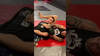 3 basic submissions from the back #rnc #armbar #trianglechoke