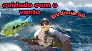 hunter fishing 285- pesca de tucunaré em gardênia -SP