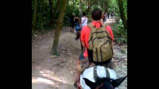 Horseback In Tayrona National Park, Colombia.