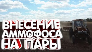 мтз 82 с сеялкой СЗ 3.6. Вносим аммофос под озимую.