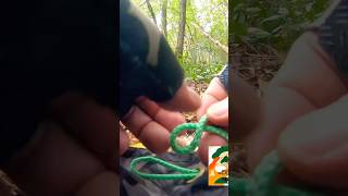 TARP KNOT #bushcraft #archery #outdoors #camping #shelter #knot #essential #easy #knifeskills