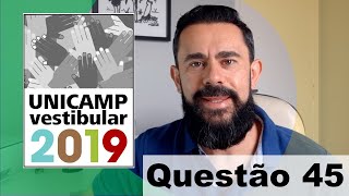 Primeira Fase Unicamp 2019 | Questão 45 | Ondulatória