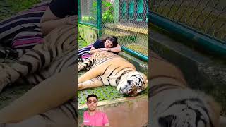 sher hamla kar date Mai toh dar gayi khshigadhvi#shorts #tiger