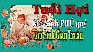 Tuổi Hợi Sinh Vào Giờ Nào Thì Đặng Phú Quý Giờ Nào Thì Gian Truân Vất Vả