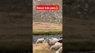 Deosai Kala pani😍🔥