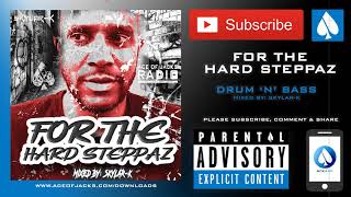 FOR THE HARD STEPPAZ - DRUM 'N' BASS MIX - SKYLAR-K