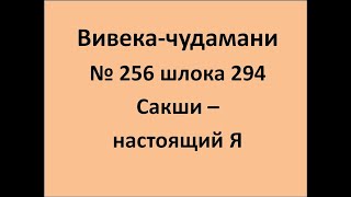 ВивекаЧудамани курс Свамини Видьянанды Сарасвати 256 шлока 294 Сакши   настоящий Я