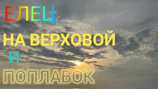 ЕЛЕЦ НА ИРКУТЕ