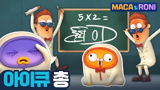 [본편] 아이큐 총 | 마카앤로니 (Maca and Roni) | 재밌고 귀여운 힐링 애니메이션