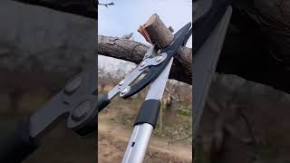 Useful tool for pruning big tree💯‼️💯#shorts #trending #technology