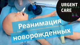 Первичная и реанимационная помощь новорожденным детям